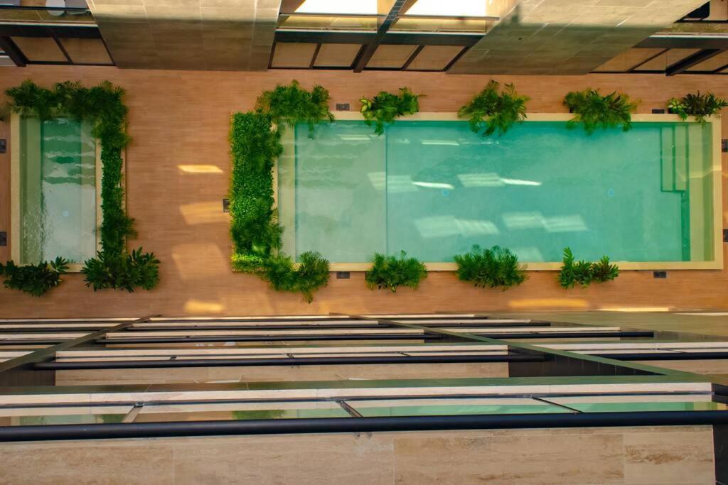 Appartamento & Ocean View / Pool,jacuzzi & Parking - 423 Musa *